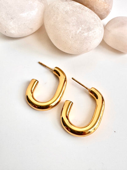 Bold Link Hoops